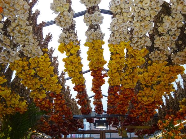 Amsterdam - The floating market