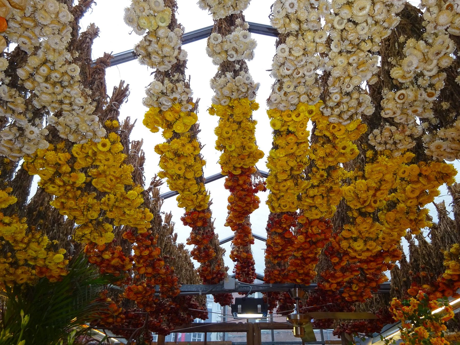 Amsterdam - Il mercato galleggiante