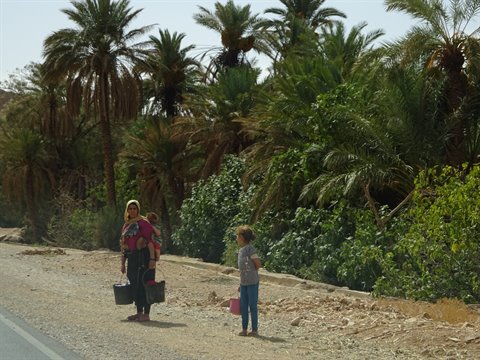 Donna con borse e bambina camminano lungo la strada tra palmeto, Tinghir