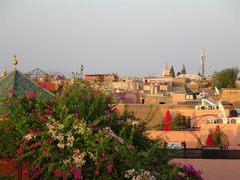 Blooming bougainvillea over the ochre rooftops of Marrakech medina