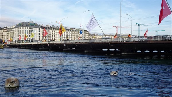 The Rhône and the Geneva bridge