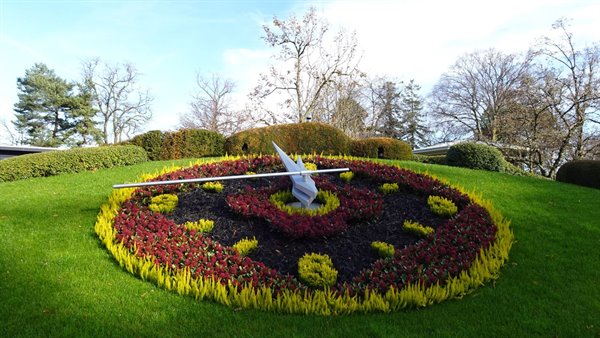 The flower clock