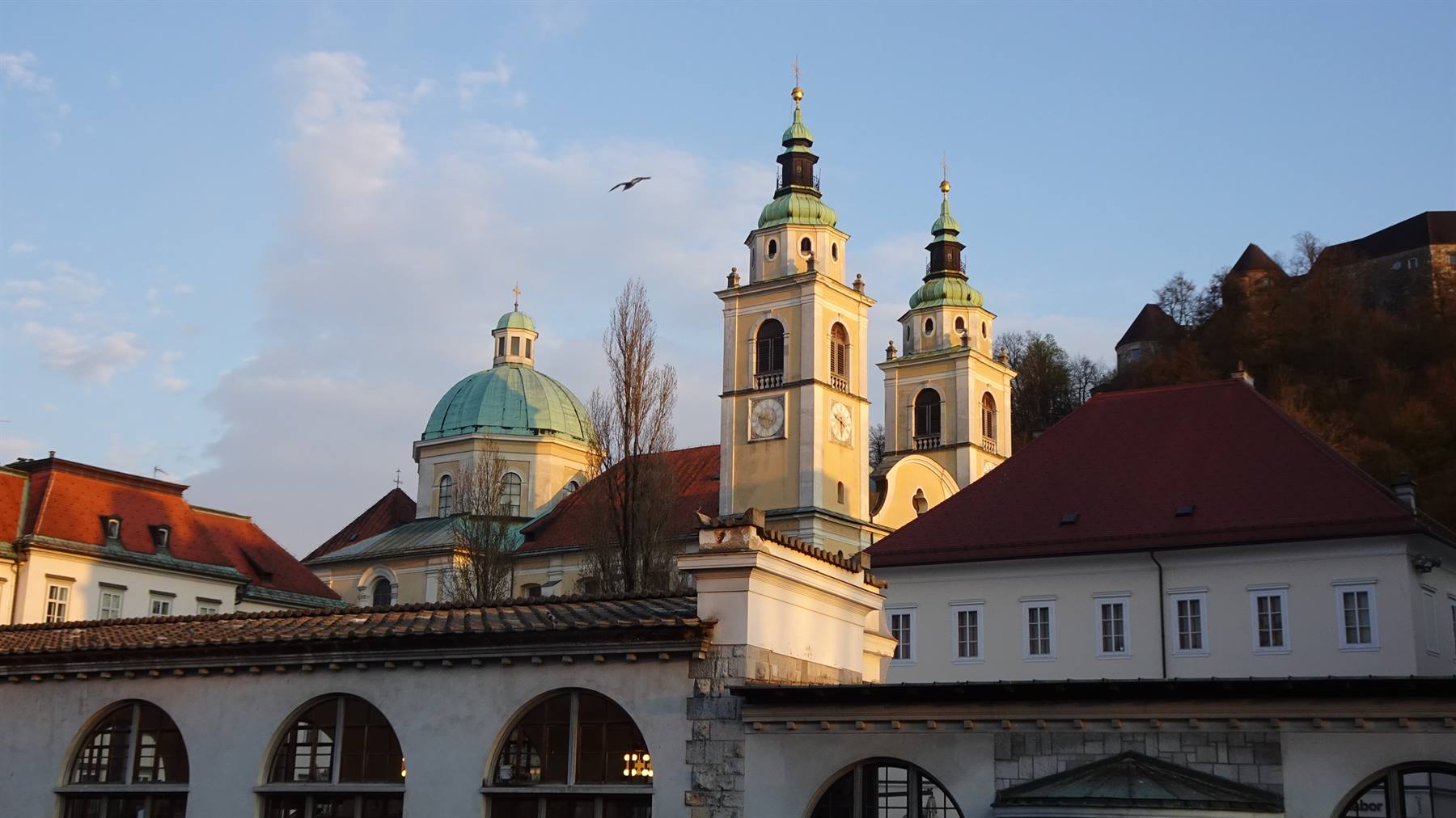 Cattedrale di Ljubljana con cupola verde e campanili al chiaro mattino