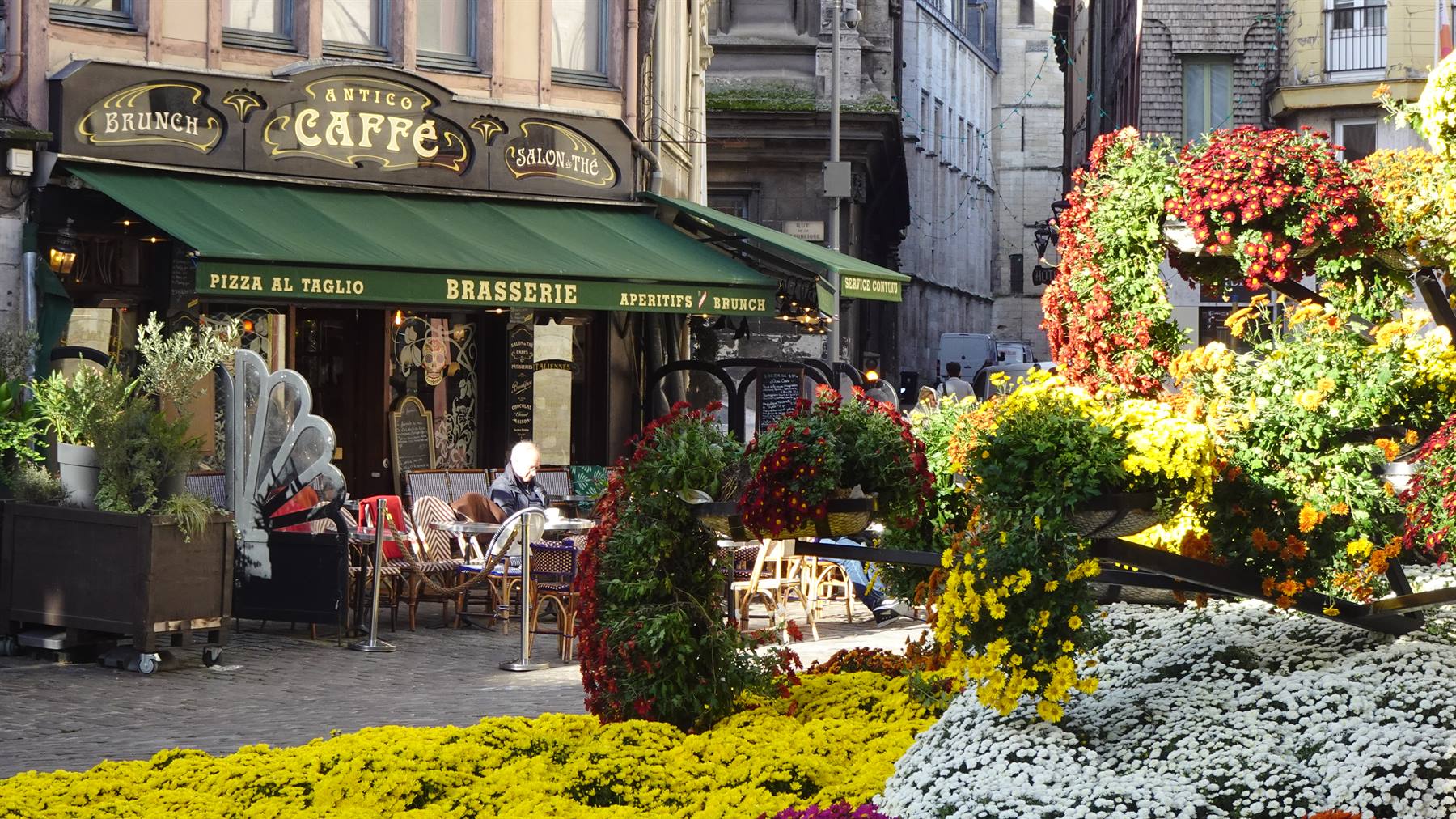 Caffè in fiore: un tè, un libro, e il tempo che rallenta.