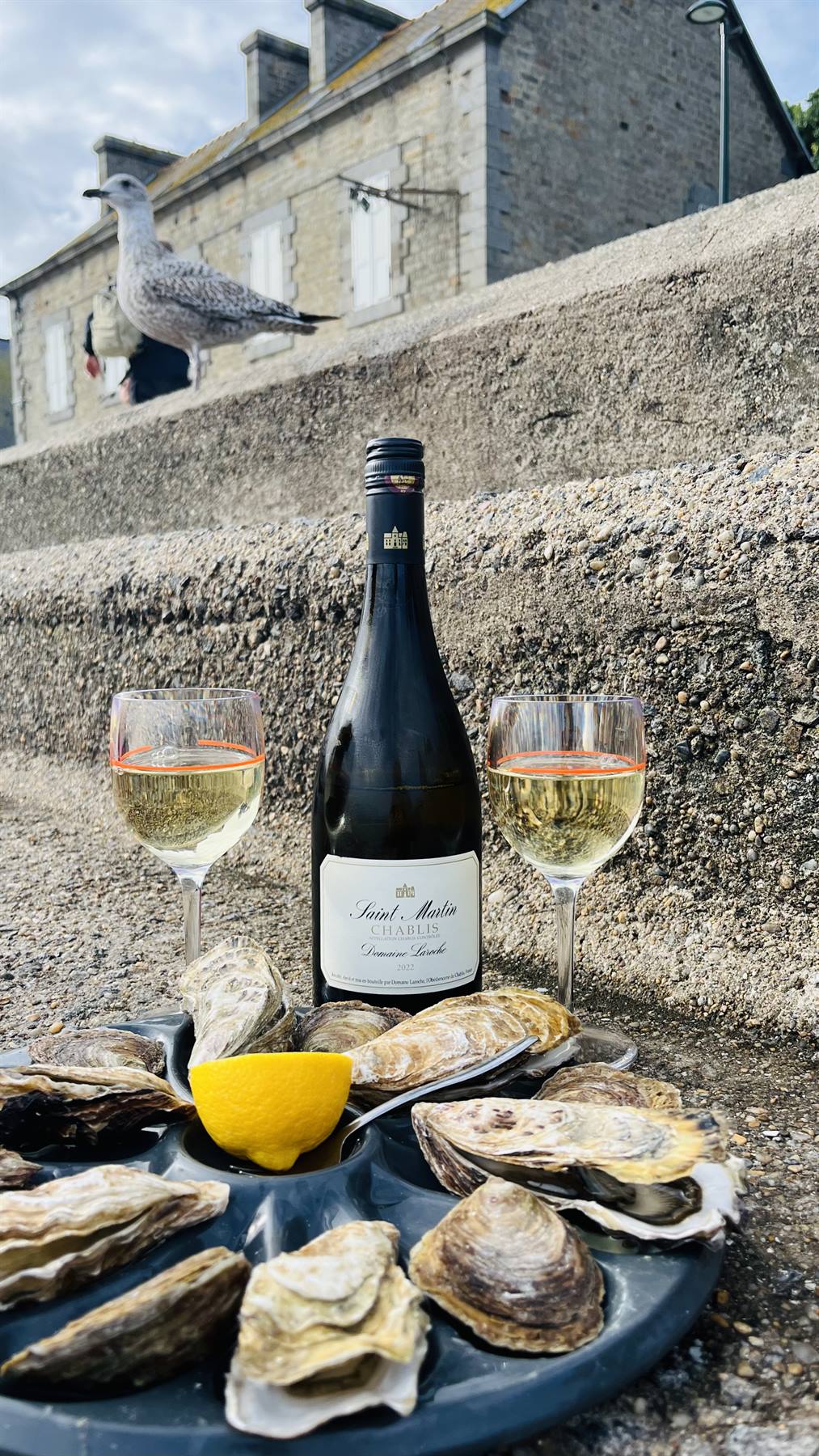 Ostriche fresche con vino bianco e limone su un muro di pietra, un gabbiano osserva, Cancale