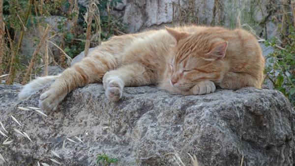 Relaxing on the stones of the Agora