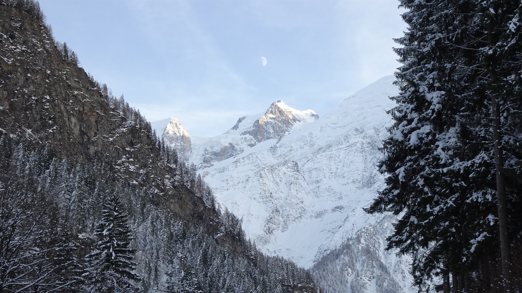 Cime innevate del Monte Bianco tra abeti coperti di neve, luna nel cielo azzurro