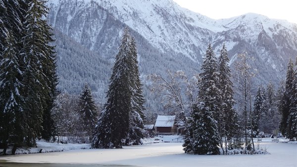 Chamonix in winter: snow-covered firs, wooden cabin and sunlit mountains