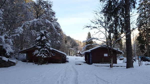 Snow-covered wooden chalets among fir trees, Chamonix