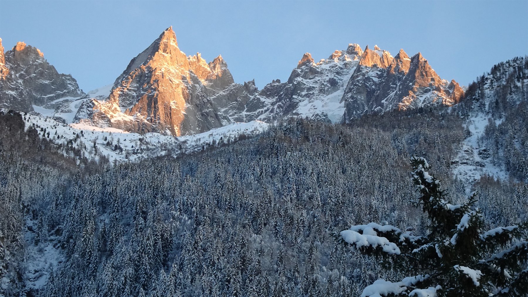 Cime innevate al bagliore dorato dell'alba sopra la foresta innevata di Chamonix