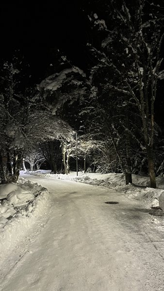 Snow-covered road at night, trees heavy with snow, lamps lit in Chamonix