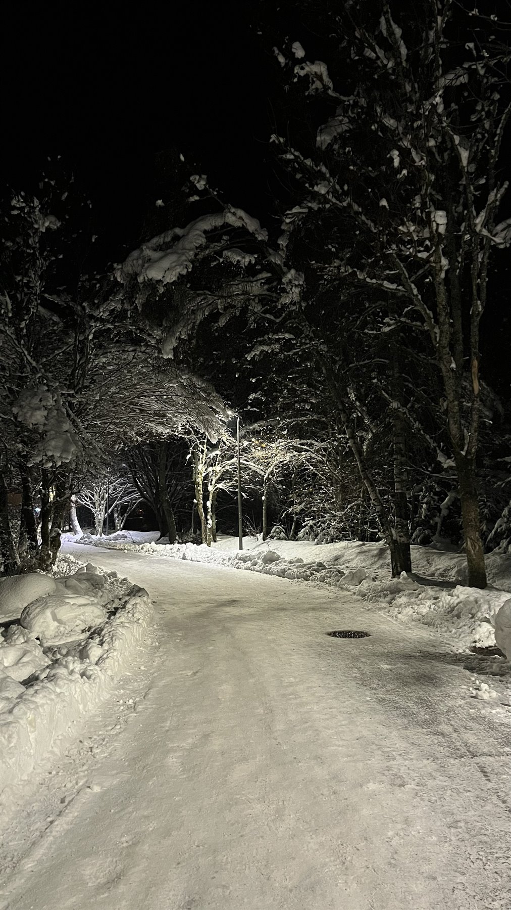 Strada innevata di notte tra alberi carichi di neve, lampioni illuminano Chamonix