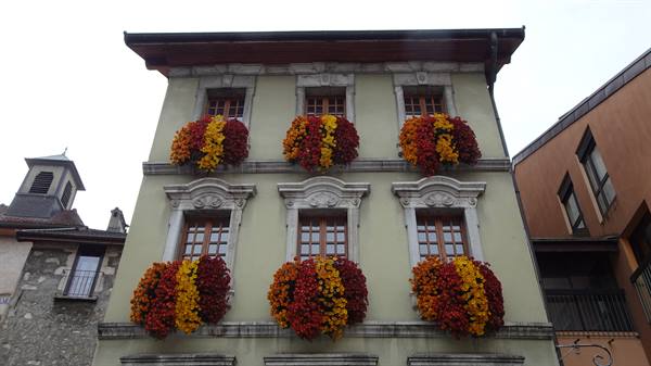 Green facade with red and yellow geraniums at the windows, Yvoire