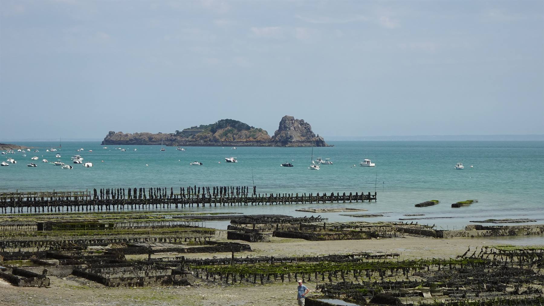 Cancale: parteri a ostriche in legno a bassa marea, barche e isoletta verde