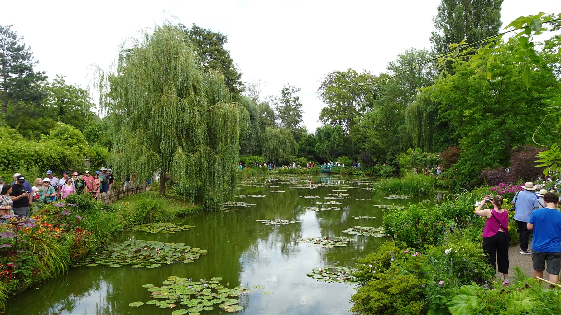 Giverny - Giardini di Monet
