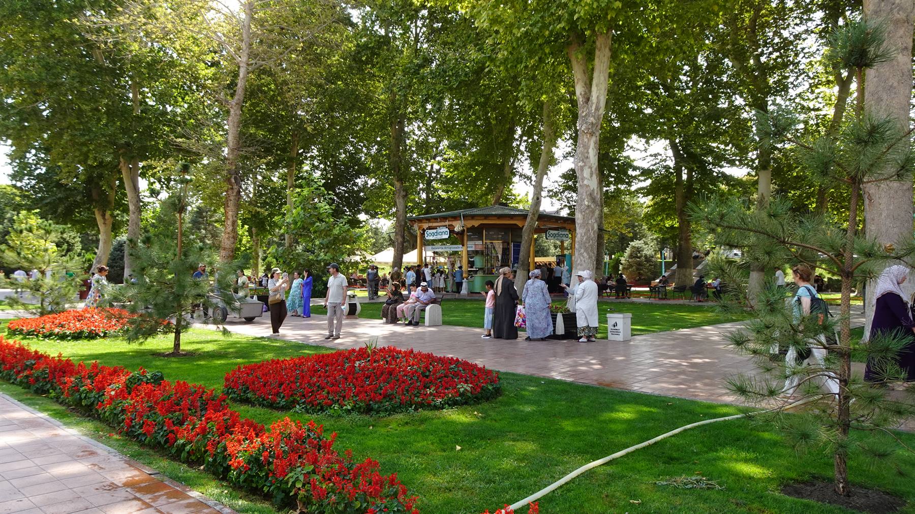 Passeggiando tra aiuole di fiori rossi e platani di Samarcanda