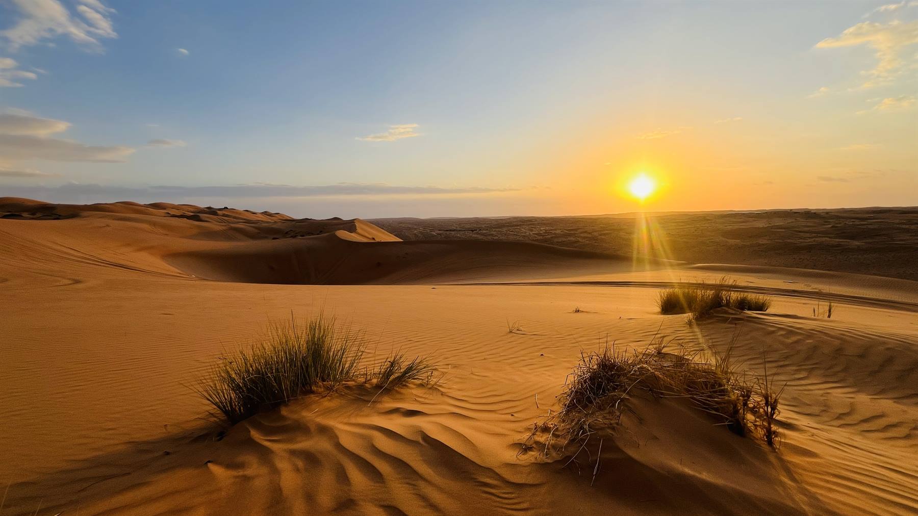 Wahiba Sand Desert