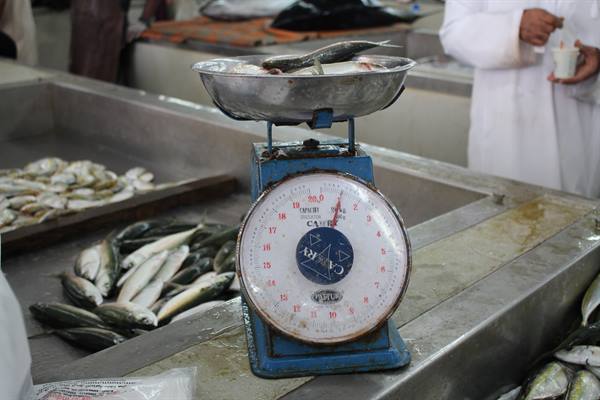 Mutrah - Fish Market