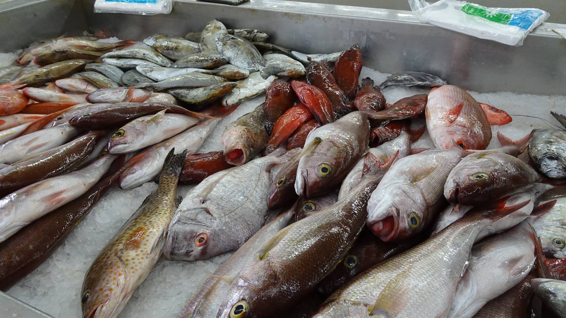 Mutrah - Fish Market
