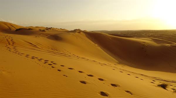 Wahiba Sand Desert
