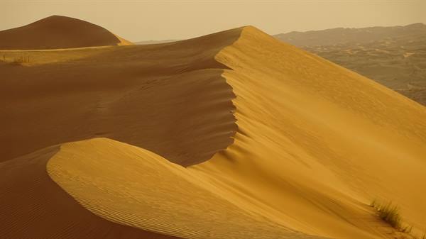 Wahiba Sand Desert