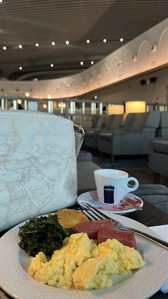 Fiumicino Airport-Plaza Lounge