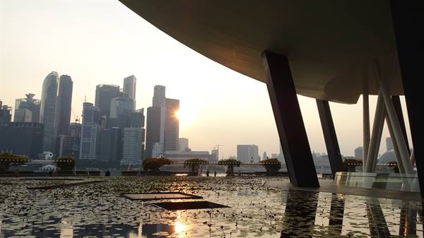 Sunset over Singapore: the golden city reflected among the water lilies.