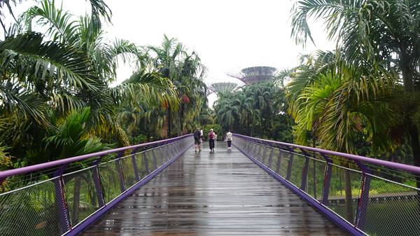 Garden By The Bay - Dragonfly Bridge