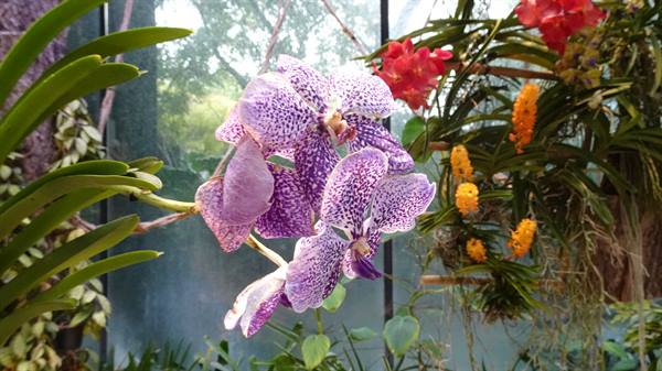 Garden By The Bay - Floral Fantasy