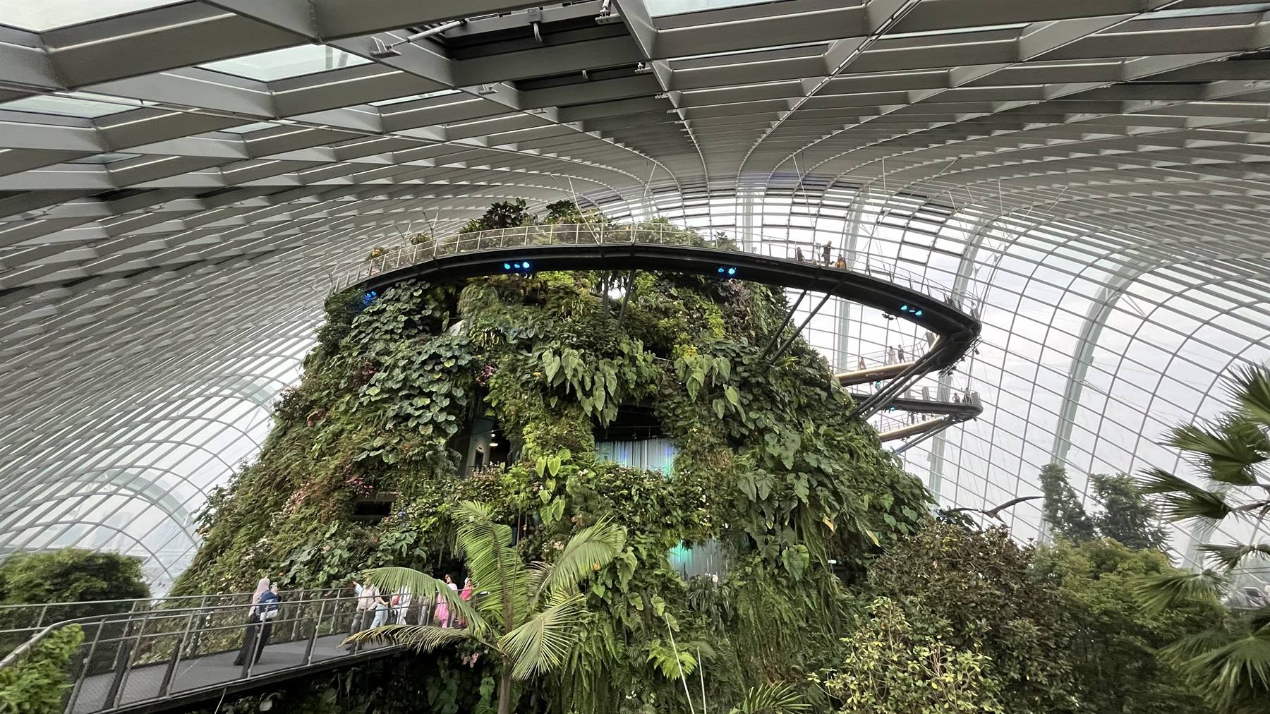 Garden By The Bay-Cloud Forest