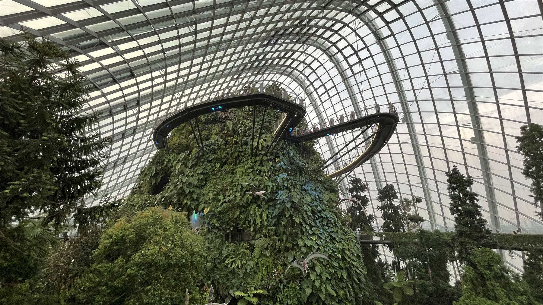 Garden By The Bay-Cloud Forest