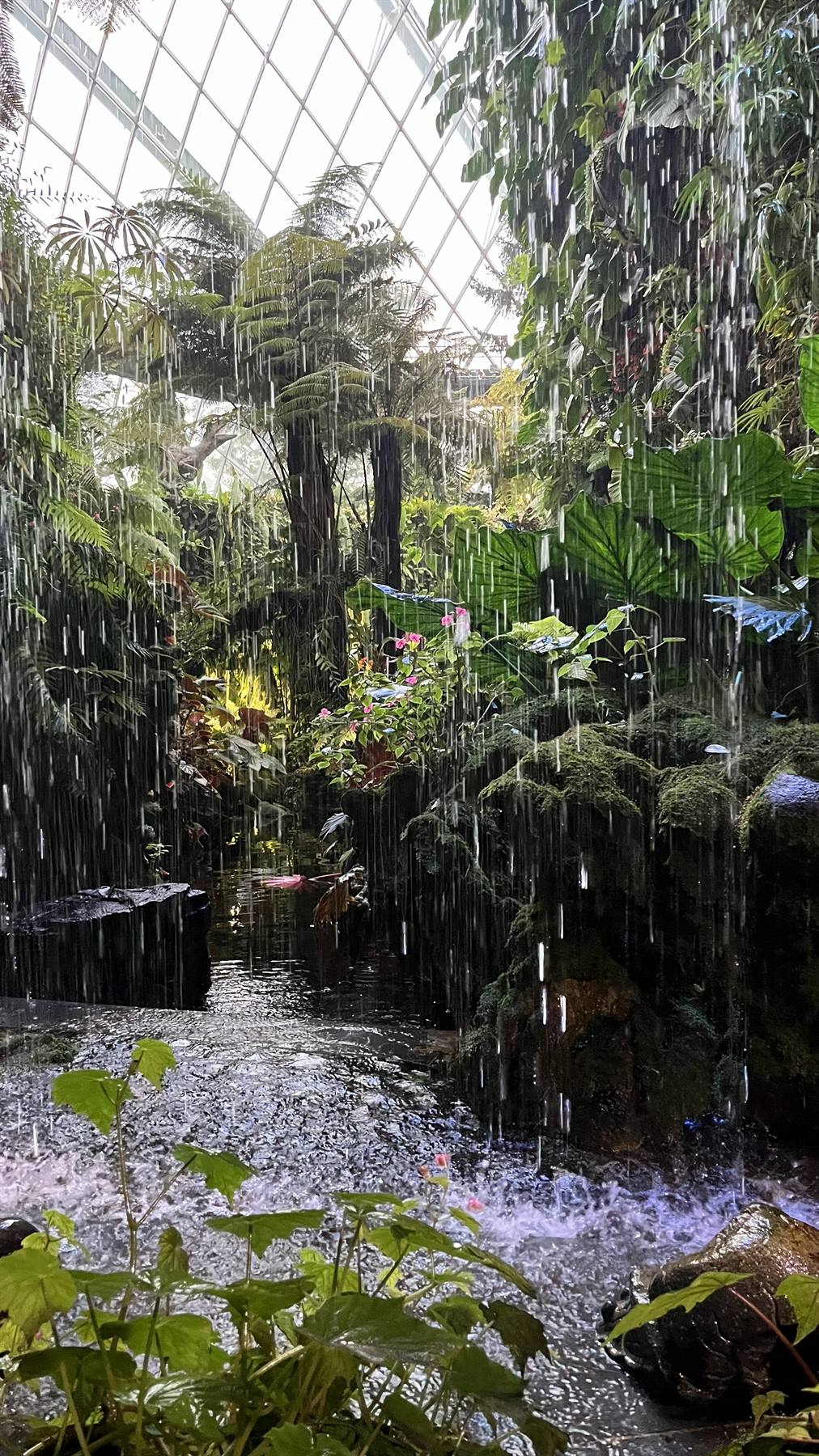 Garden By The Bay-Cloud Forest