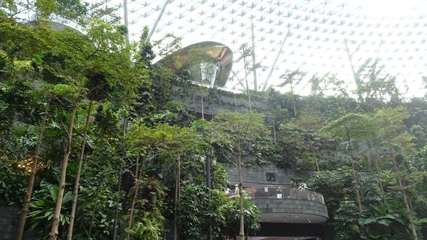 Changi Airport-The Jewel