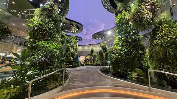 Changi Airport-Dreamscape