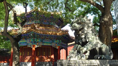 Beijing-Lama Temple