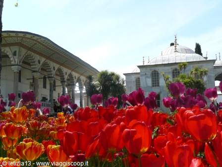 Red tulips blooming in the courtyard of Topkapi Palace, Istanbul