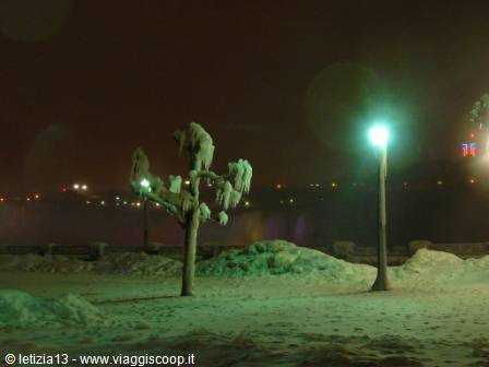 Ice-covered tree beside a glowing green lamppost, snow on the ground