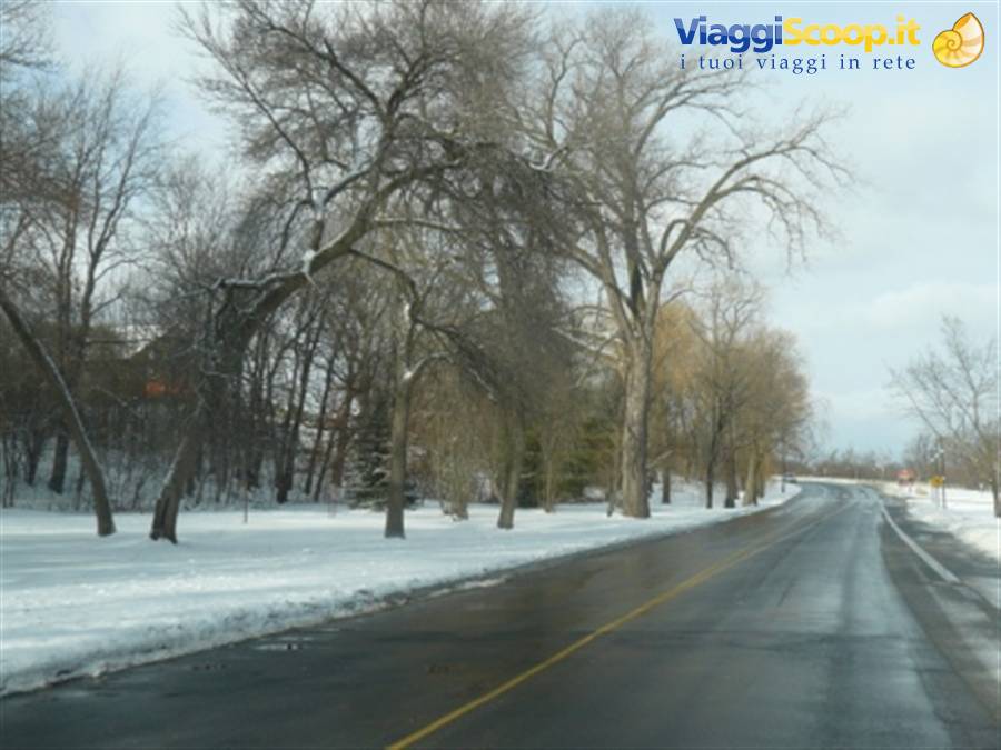 Snowy road lined with bare trees under gray winter sky
