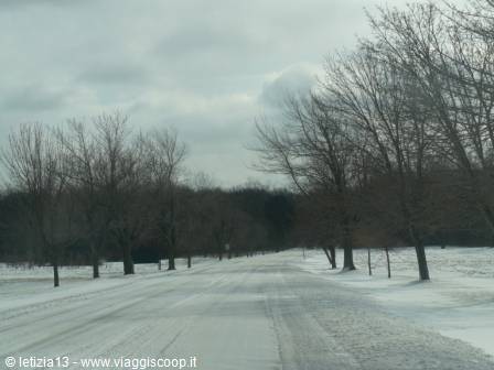 Snow-covered road lined with bare trees under a cloudy sky, shot from car window