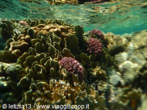 Wonders of the. Red Sea