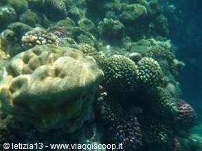 Wonders of the. Red Sea