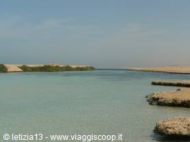 Ras Mohammed - Mangrove channel