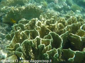 Wonders of the. Red Sea