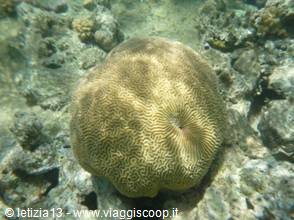 Wonders of the. Red Sea