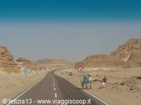 Sinai Desert
