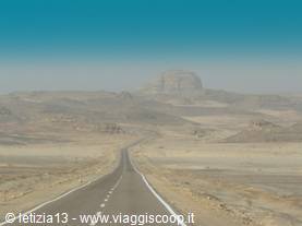 Sinai Desert
