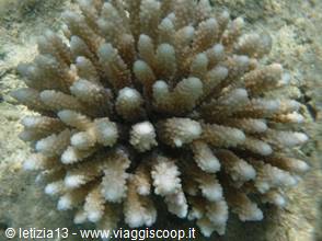 Wonders of the. Red Sea