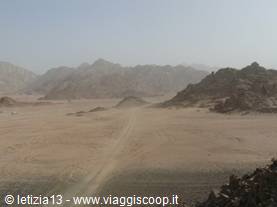 Sinai Desert
