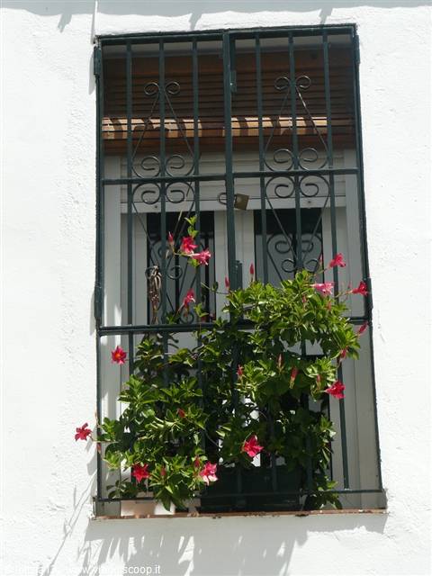 Vejer de la Frontera