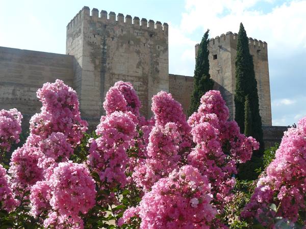 Granada - Alhambra, The Alcázar